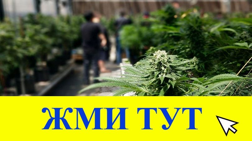 Купить наркотики в Менделеевске